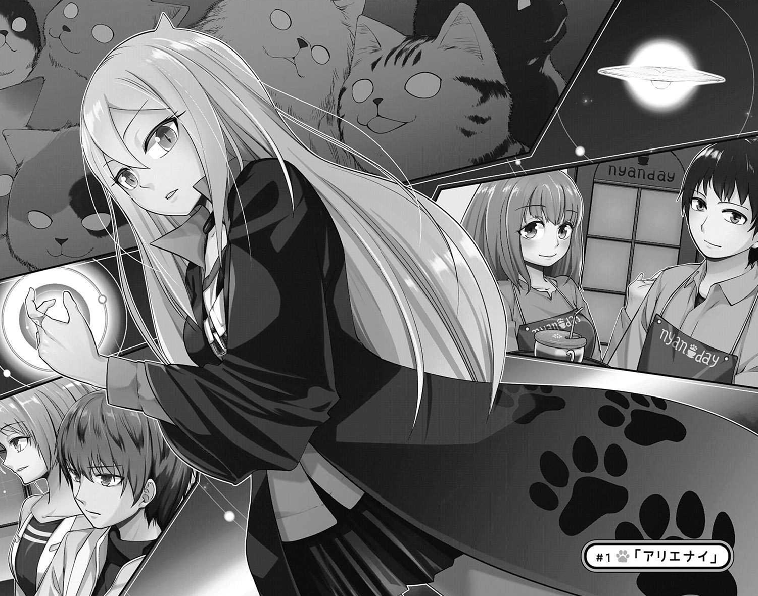 カワイスギクライシストビラ